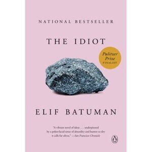 The Idiot -- Elif Batuman